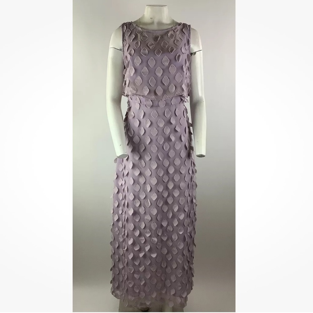 Anthropologie Eva Franco Sz 8 Maxi Chiffon Dress With Appliques Purple